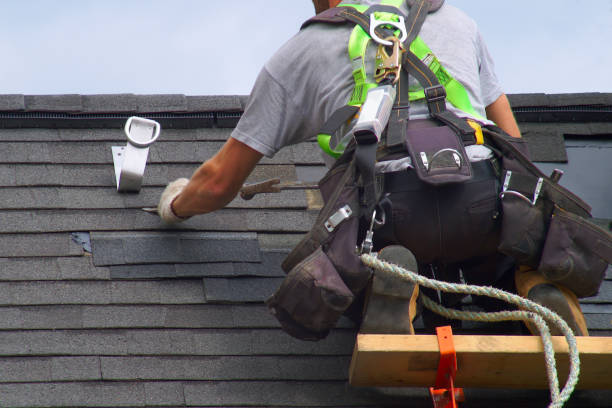 Best Construction Debris Removal  in Camanche, IA