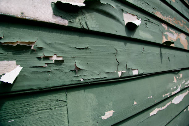 Best Foreclosure Cleanout  in Camanche, IA